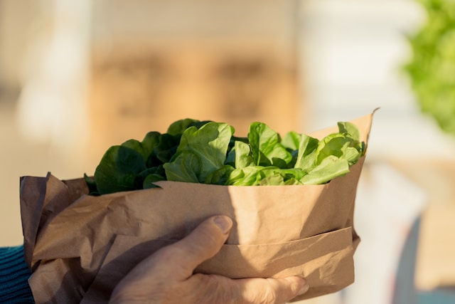 Sistema de delivery